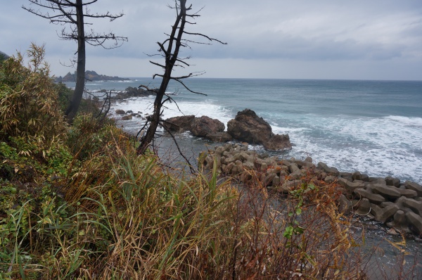 DSC03332馬緤海岸